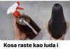 Kosa raste kao luda i PRESTAJE da opada: ŽIVA VODA za kosu, efekat će vas oduševiti! Kosa raste kao luda i PRESTAJE da opada: ŽIVA VODA za kosu, efekat će vas oduševiti! - featured image