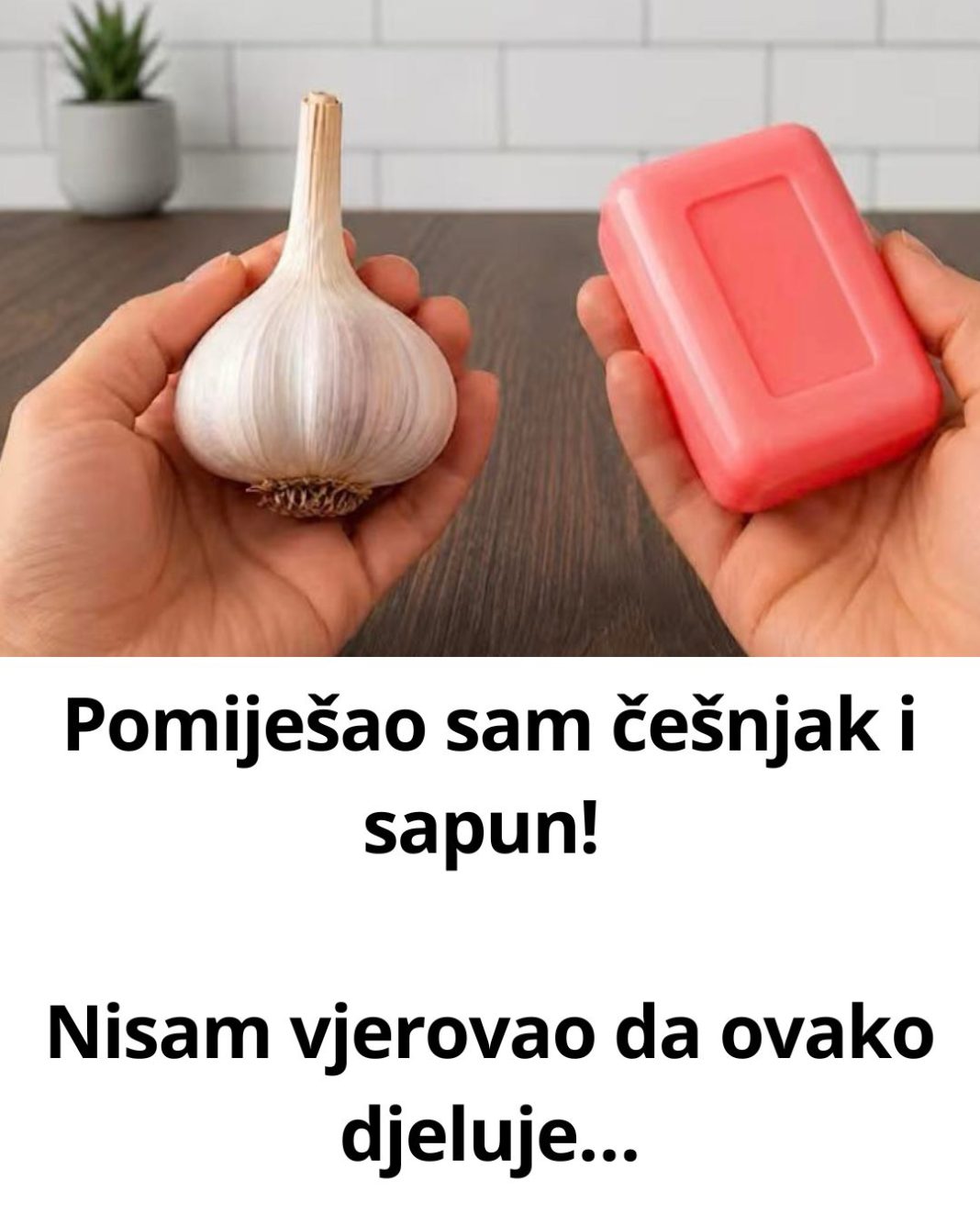 Pomiješao sam češnjak i sapun! Nisam vjerovao da ovako djeluje… - featured image