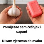 Pomiješao sam češnjak i sapun! Nisam vjerovao da ovako djeluje… Pomiješao sam češnjak i sapun! Nisam vjerovao da ovako djeluje… - featured image