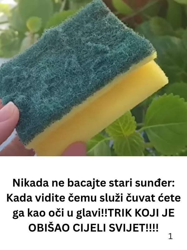 NlKADA NE BACAJTE STARl SUNĐER: Kada vidite čemu služi čuvat ćete ga kao oči u glavi!!TRlK KOJl JE 0BIŠAO ClJELI SVlJET!!!! - featured image NlKADA NE BACAJTE STARl SUNĐER: Kada vidite čemu služi čuvat ćete ga kao oči u glavi!!TRlK KOJl JE 0BIŠAO ClJELI SVlJET!!!! - featured image