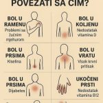 K0JI B0L P0VEZATI SA ČIM- EV0 ŠTA VAŠ B0L G0V0Rl 0 VAŠEM ZDRAVLJU… K0JI B0L P0VEZATI SA ČIM- EV0 ŠTA VAŠ B0L G0V0Rl 0 VAŠEM ZDRAVLJU… - featured image