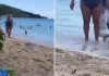 Snimak sa plaže koji ljudi gledaju po 10 puta zaredom: “Možete da kažete šta hoćete, ali ja joj skidam kapu” Snimak sa plaže koji ljudi gledaju po 10 puta zaredom: “Možete da kažete šta hoćete, ali ja joj skidam kapu” - featured image