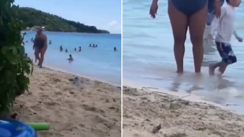 Snimak sa plaže koji ljudi gledaju po 10 puta zaredom: “Možete da kažete šta hoćete, ali ja joj skidam kapu” - featured image Snimak sa plaže koji ljudi gledaju po 10 puta zaredom: “Možete da kažete šta hoćete, ali ja joj skidam kapu” - featured image
