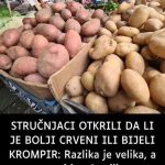 STRUČNJACI OTKRILI DA LI JE BOLJI CRVENI ILI BIJELI KROMPIR: Postoji velika razlika, a OVAJ KR0MPlR JE ZDRAVlJl…. STRUČNJACI OTKRILI DA LI JE BOLJI CRVENI ILI BIJELI KROMPIR: Postoji velika razlika, a OVAJ KR0MPlR JE ZDRAVlJl…. - featured image