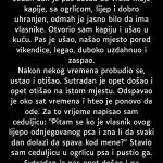 Proveo sam deset dana u vikendici… Proveo sam deset dana u vikendici… - featured image
