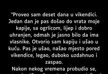Proveo sam deset dana u vikendici… Proveo sam deset dana u vikendici… - featured image