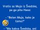 VIC DANA: Vratio se Mujo iz Švedske VIC DANA: Vratio se Mujo iz Švedske - featured image