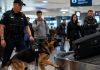 Pas na aerodromu iznenada je počeo glasno da laje na crni kofer, odmah privukavši pažnju policajca: u početku je policajac pomislio da je pas jednostavno pogrešio, ali kada su otvorili kofer, svi oko njih su se ukočili od užasa videvši ono što se nalazilo unutra 😨 Pas na aerodromu iznenada je počeo glasno da laje na crni kofer, odmah privukavši pažnju policajca: u početku je policajac pomislio da je pas jednostavno pogrešio, ali kada su otvorili kofer, svi oko njih su se ukočili od užasa videvši ono što se nalazilo unutra 😨 - featured image