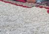 Prespavali su na plaži kod Splita i postali hit na društvenim mrežama, odmah će vam biti jasno zašto Prespavali su na plaži kod Splita i postali hit na društvenim mrežama, odmah će vam biti jasno zašto - featured image