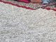 Prespavali su na plaži kod Splita i postali hit na društvenim mrežama, odmah će vam biti jasno zašto Prespavali su na plaži kod Splita i postali hit na društvenim mrežama, odmah će vam biti jasno zašto - featured image