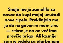 Snaja je pozajmila novac od mene i odbila da ga vrati — pa sam preduzela nešto Snaja je pozajmila novac od mene i odbila da ga vrati — pa sam preduzela nešto - featured image