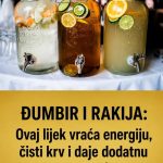 ĐUMBIR I RAKIJA: Ovaj lijek vraća energiju, čisti krv i daje dodatnu snagu organizmu ĐUMBIR I RAKIJA: Ovaj lijek vraća energiju, čisti krv i daje dodatnu snagu organizmu - featured image
