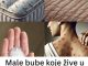 Male bube koje žive u vašem krevetu – Evo kako da ih izbacite zauvek uz ovaj jednostavan trik! Male bube koje žive u vašem krevetu – Evo kako da ih izbacite zauvek uz ovaj jednostavan trik! - featured image