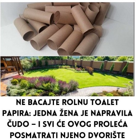 Nikada ne bacajte rolnu toalet papira: Ova žena je napravila čudo – i svi će ovog proljeća posmatrati njeno dvorište! - featured image Nikada ne bacajte rolnu toalet papira: Ova žena je napravila čudo – i svi će ovog proljeća posmatrati njeno dvorište! - featured image