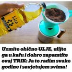 Uzmite obično ulje, ulijte ga u kafu i zapamtite ovaj savjet: Radim to svake godine i preporučujem svima! Uzmite obično ulje, ulijte ga u kafu i zapamtite ovaj savjet: Radim to svake godine i preporučujem svima! - featured image