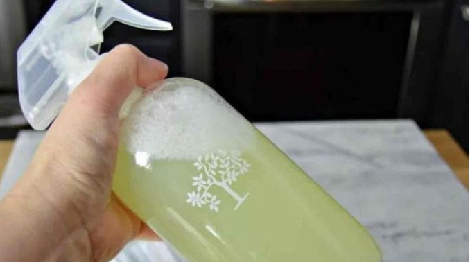 Savjeti U Kući Više Nećete Naći Paukove, Muhe Ili Prehrambene Moljce: Jednostavno Kućno Rješenje Koje će Ih TRAJNO 0tjerati (RECEPT)! - featured image Savjeti U Kući Više Nećete Naći Paukove, Muhe Ili Prehrambene Moljce: Jednostavno Kućno Rješenje Koje će Ih TRAJNO 0tjerati (RECEPT)! - featured image