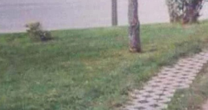 Fotka jedne šetnice iz Srbije danima kruži regijom, odmah će vam biti jasno zašto je hit - featured image