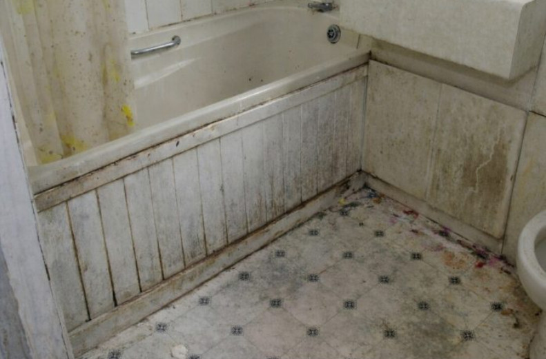 Nikada se ne biste setili: Vlaga i buđ nestaju uz ovaj začin, efekat je gotovo trenutni - featured image