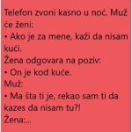 VIC DANA: ŽENA I POZIV… VIC DANA: ŽENA I POZIV… - featured image