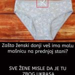 ZNATE LI ČEMU SLUŽI MAŠNICA NA ŽENSKIM GAĆICAMA? Odgovor na ovo pitanje ŠOKIRAO JE MNOGE, a istina o ovom detalju je zanimljiva! ZNATE LI ČEMU SLUŽI MAŠNICA NA ŽENSKIM GAĆICAMA? Odgovor na ovo pitanje ŠOKIRAO JE MNOGE, a istina o ovom detalju je zanimljiva! - featured image