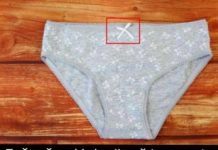 ZNATE LI ČEMU SLUŽI MAŠNICA NA ŽENSKIM GAĆICAMA? Odgovor na ovo pitanje ŠOKIRAO JE MNOGE, a istina o ovom detalju je zanimljiva! ZNATE LI ČEMU SLUŽI MAŠNICA NA ŽENSKIM GAĆICAMA? Odgovor na ovo pitanje ŠOKIRAO JE MNOGE, a istina o ovom detalju je zanimljiva! - featured image