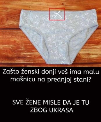 ZNATE LI ČEMU SLUŽI MAŠNICA NA ŽENSKIM GAĆICAMA? Odgovor na ovo pitanje ŠOKIRAO JE MNOGE, a istina o ovom detalju je zanimljiva! ZNATE LI ČEMU SLUŽI MAŠNICA NA ŽENSKIM GAĆICAMA? Odgovor na ovo pitanje ŠOKIRAO JE MNOGE, a istina o ovom detalju je zanimljiva! - featured image