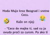 VIC: Mujo sretne Cecu VIC: Mujo sretne Cecu - featured image