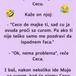 VIC: Mujo sretne Cecu VIC: Mujo sretne Cecu - featured image