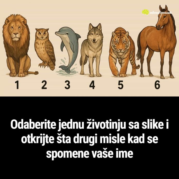Zanima te šta se zapravo pomisli kad neko spomene tvoje ime? Odaberi životinju i otkrij istinu koju drugi ne govore naglas - featured image Zanima te šta se zapravo pomisli kad neko spomene tvoje ime? Odaberi životinju i otkrij istinu koju drugi ne govore naglas - featured image