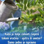 NE PRAVITE OVU GREŠKU TOKOM VRUĆINA! 🌺☀️ Kada je pravo vrijeme za zalivanje cvijeća – ujutru ili uvečer? Samo jedno daje najbolje rezultate! NE PRAVITE OVU GREŠKU TOKOM VRUĆINA! 🌺☀️ Kada je pravo vrijeme za zalivanje cvijeća – ujutru ili uvečer? Samo jedno daje najbolje rezultate! - featured image