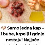 🐶 Samo jedna kap – i buhe, krpelji i grinje nestaju! Najjače prirodno rješenje… 🐶 Samo jedna kap – i buhe, krpelji i grinje nestaju! Najjače prirodno rješenje… - featured image