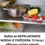 Rešite se NEPRIJATANOG MIRISA IZ FRIŽIDERA: Tri brza i efikasna načina odmah VRAĆAJU SVEŽINU Rešite se NEPRIJATANOG MIRISA IZ FRIŽIDERA: Tri brza i efikasna načina odmah VRAĆAJU SVEŽINU - content image