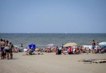 Srbi se zacenjuju od smeha zbog onoga što je ova žena OBULA NA PLAŽI: Kada je izašla iz plićaka, usledio je apsolutni ŠOK SEZONE – “Gospođa se ne postaje, gospođa se rađa” Srbi se zacenjuju od smeha zbog onoga što je ova žena OBULA NA PLAŽI: Kada je izašla iz plićaka, usledio je apsolutni ŠOK SEZONE – “Gospođa se ne postaje, gospođa se rađa” - featured image