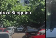 BEOGRAĐANI ŠOKIRALI SVE: “Recite mi kako ovo uspete? Šta je bre to?!” – snimak izazvao lavinu reakcija BEOGRAĐANI ŠOKIRALI SVE: “Recite mi kako ovo uspete? Šta je bre to?!” – snimak izazvao lavinu reakcija - content image