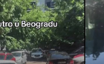BEOGRAĐANI ŠOKIRALI SVE: “Recite mi kako ovo uspete? Šta je bre to?!” – snimak izazvao lavinu reakcija BEOGRAĐANI ŠOKIRALI SVE: “Recite mi kako ovo uspete? Šta je bre to?!” – snimak izazvao lavinu reakcija - content image