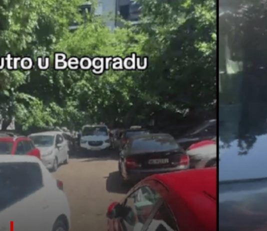 BEOGRAĐANI ŠOKIRALI SVE: “Recite mi kako ovo uspete? Šta je bre to?!” – snimak izazvao lavinu reakcija BEOGRAĐANI ŠOKIRALI SVE: “Recite mi kako ovo uspete? Šta je bre to?!” – snimak izazvao lavinu reakcija - content image