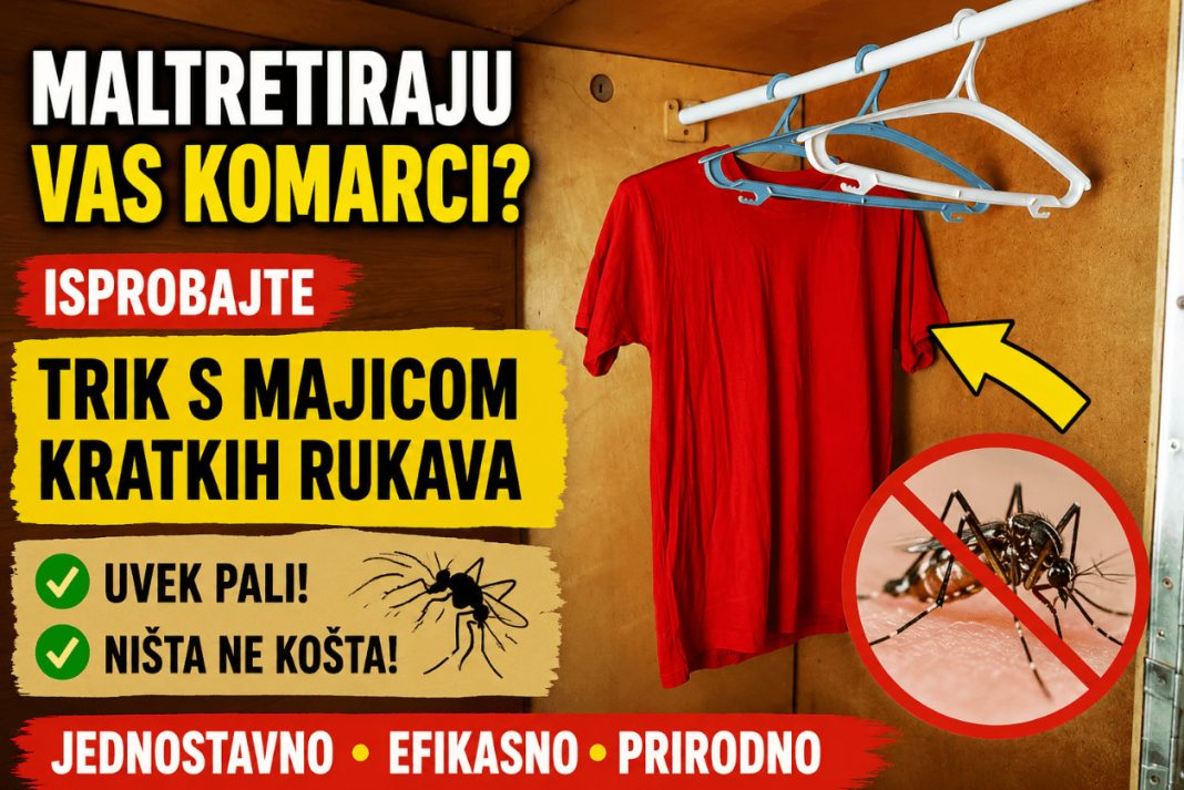 Maltretiraju vas komarci? Isprobajte trik s majicom kratkih rukava – uvek pali, a ništa ne košta! - featured image