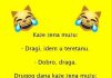 VIC DANA: Preljuba VIC DANA: Preljuba - featured image