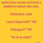 VIC DANA: Ne svađaj se sa molerima VIC DANA: Ne svađaj se sa molerima - featured image