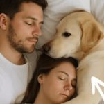 Pas koji nikada nije ulazio u spavaću sobu probudio nas je noću — i odmah smo shvatili zašto. Pas koji nikada nije ulazio u spavaću sobu probudio nas je noću — i odmah smo shvatili zašto. - featured image