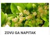 ZOVU GA NAPITAK SREĆE: Najpoznatiji Travar 20 Stoljeća Otkriva Recept Za Čaj Koji Eliminiše Nervozu Organizma! ZOVU GA NAPITAK SREĆE: Najpoznatiji Travar 20 Stoljeća Otkriva Recept Za Čaj Koji Eliminiše Nervozu Organizma! - featured image