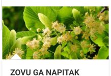 ZOVU GA NAPITAK SREĆE: Najpoznatiji Travar 20 Stoljeća Otkriva Recept Za Čaj Koji Eliminiše Nervozu Organizma! ZOVU GA NAPITAK SREĆE: Najpoznatiji Travar 20 Stoljeća Otkriva Recept Za Čaj Koji Eliminiše Nervozu Organizma! - featured image
