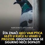 Ptice kraj kuće, na prozoru ili u sobi: šta narodna predanja kažu o tim znakovima Ptice kraj kuće, na prozoru ili u sobi: šta narodna predanja kažu o tim znakovima - featured image