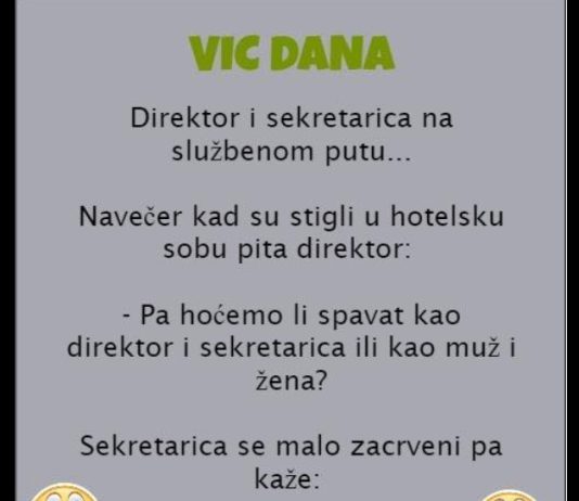 VIC DANA: Direktor i sekretarica na službenom putu VIC DANA: Direktor i sekretarica na službenom putu - featured image