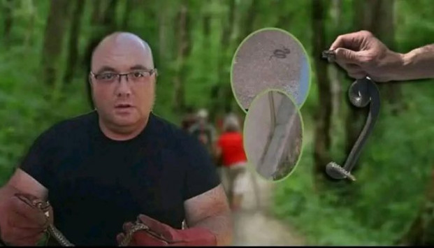 Kako postupiti pri susretu sa zmijom i zašto je svaka minuta nakon ugriza važna - featured image