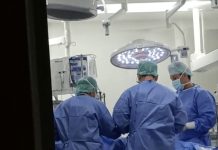 😱 Kada sam ušla u bolnicu, nigdje nije bilo nijednog liječnika. Pult medicinskih sestara bio je prazan, na hitnom prijemu nitko se nije javljao, a obitelji pacijenata stajale su po hodnicima, zbunjene i čekale. 😱 Kada sam ušla u bolnicu, nigdje nije bilo nijednog liječnika. Pult medicinskih sestara bio je prazan, na hitnom prijemu nitko se nije javljao, a obitelji pacijenata stajale su po hodnicima, zbunjene i čekale. - featured image