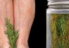 PROŠIRENE VENE NESTAJU UZ RUZMARIN! –Odmah isprobajte i uvjerite se sami! (RECEPT) PROŠIRENE VENE NESTAJU UZ RUZMARIN! –Odmah isprobajte i uvjerite se sami! (RECEPT) - featured image