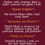 VIC DANA: Mujo i strani jezici VIC DANA: Mujo i strani jezici - featured image