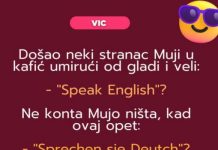 VIC DANA: Mujo i strani jezici VIC DANA: Mujo i strani jezici - featured image