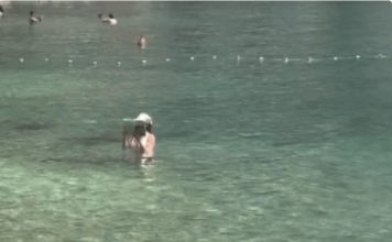 “Ovo je kraj svijeta” Žena snimljena u Crnoj Gori kako USRED MORA RADI OVO i internet je doslovno eksplodirao “Ovo je kraj svijeta” Žena snimljena u Crnoj Gori kako USRED MORA RADI OVO i internet je doslovno eksplodirao - featured image